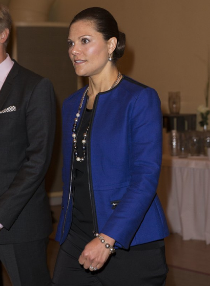 Crown Princess Victoria of Sweden attend Stockholm Environmental Institute's 25th