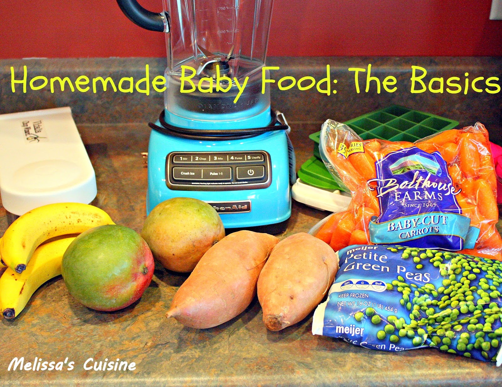 Melissa's Cuisine Homemade Baby Food The Basics