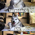 Kumpulan Meme Blogger Energy, Menurut Kamu Mana yang Paling True Story?