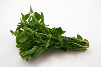 oregano.jpg