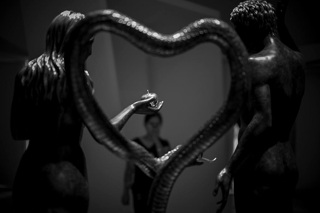 Fine arts: Top Photos from Creative Photography