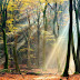 Awesome Photography By LarsVanDeGoor