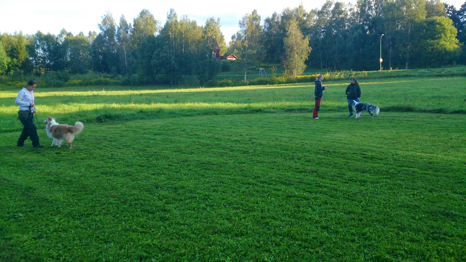 slarvig svart boll suger slarvig svart boll suger
