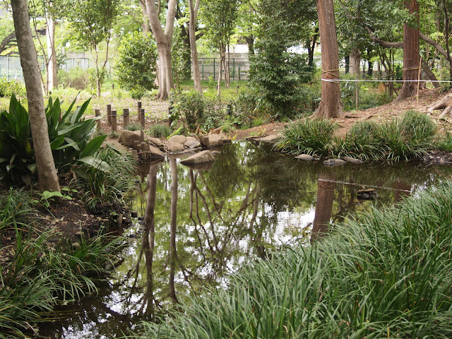 清水山憩いの森