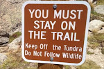 PLEASE STAY ON THE TRAIL