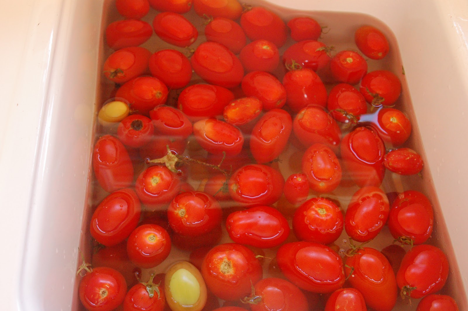 Fairview Farm Freezing Diced Tomatoes and Tomato Sauce