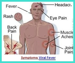 Precious Health Tips: Health Tips For Preventing Viral Fever