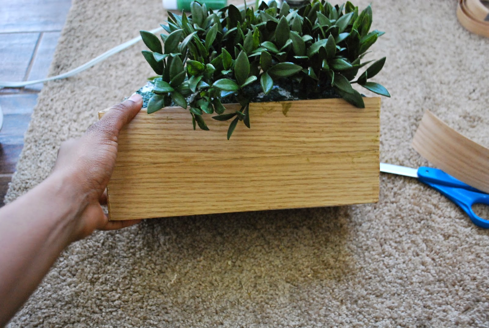 Low Cost DIY repairing a planter box