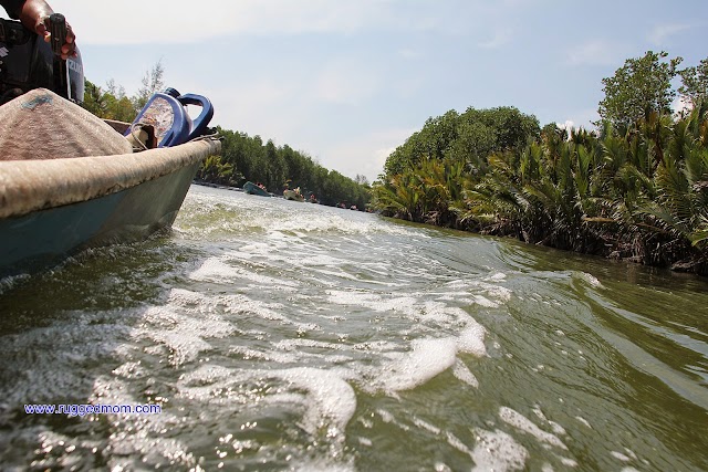 Melawat Sangkar Ikan dan Tiram di Gong Batu, Setiu