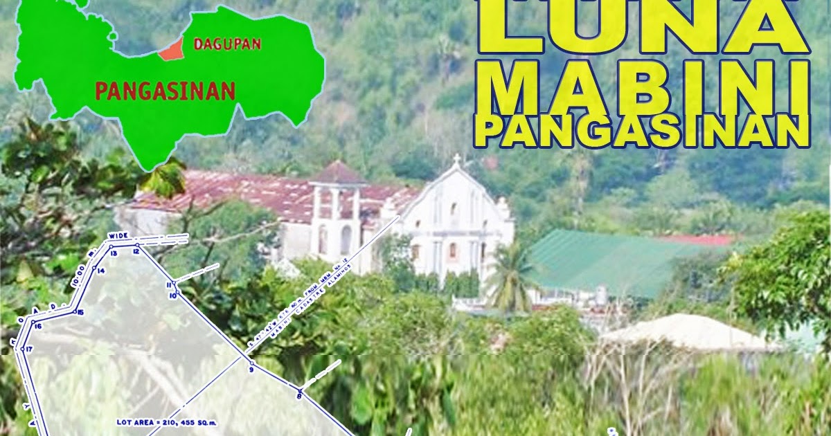 NormRealty Dagupan Mabini Pangasinan 21Hectare Land for Agricultural