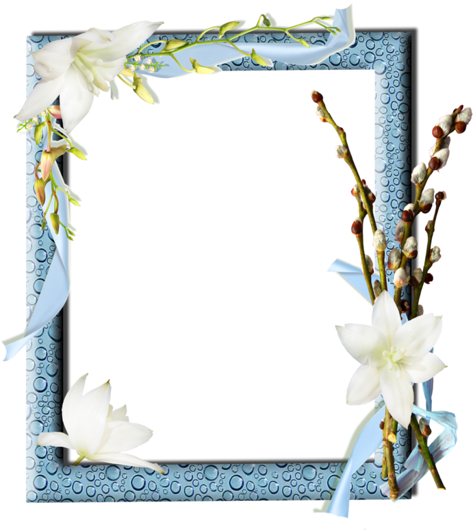 spring frames