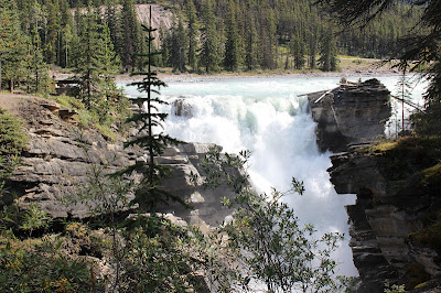 Naked Cupcakes: Jasper Fun! Jasper Fun!