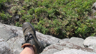 my left foot
