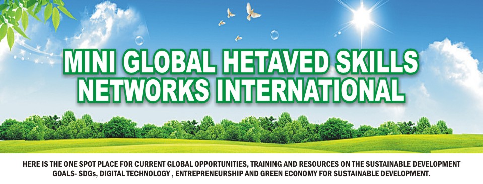  MINI GLOBAL HETAVAD SKILLS NETWORKS INTERNATIONAL