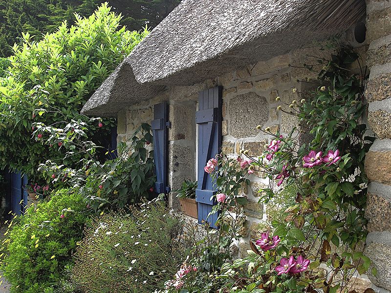 A Joyful Cottage Cottage Shutters and Window Boxes