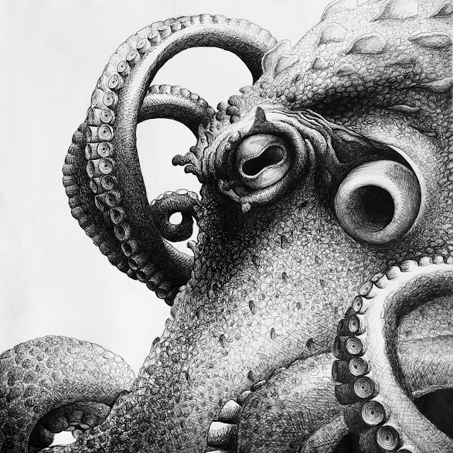 35+ Octopus Sketch Lilysky art: drawings