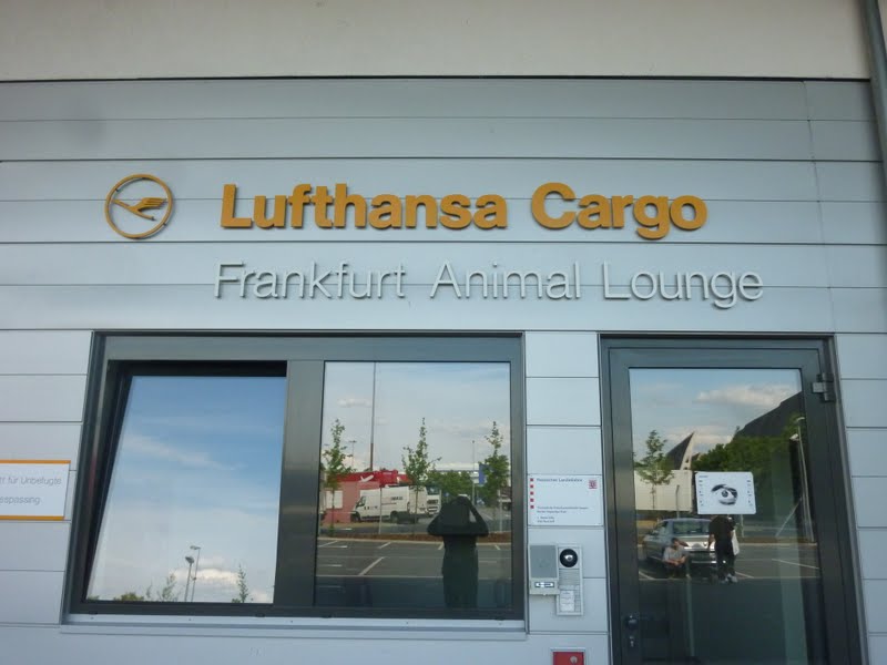 BellisinKiev Meet Enzo!