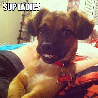 Hund: Sup Ladies?