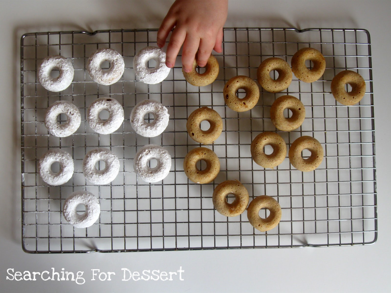 Baked Grapefruit & Olive Oil Doughnuts Searching for Dessert