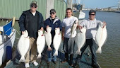 Nice Halibut