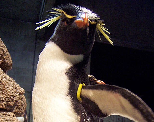 Penguin Blog: June 2010