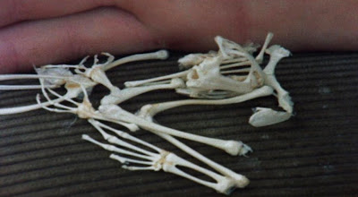 Requiem for a Village - Trailer - YouTube