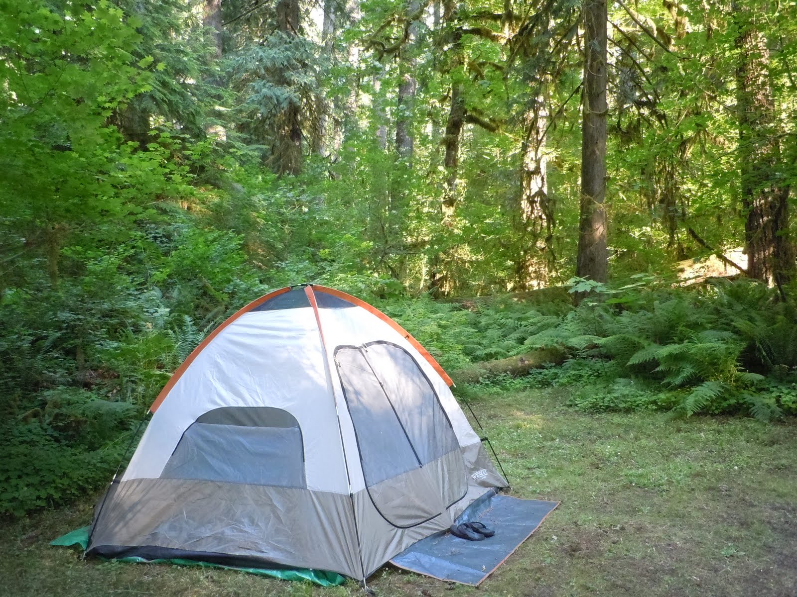 Allison's Adventure Log Iron Creek Campground