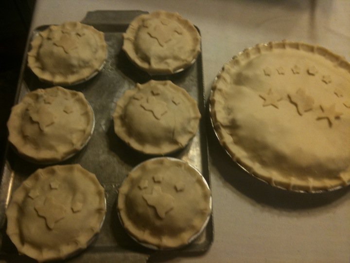 CHUCK WAGON RECIPES VENISON POT PIE