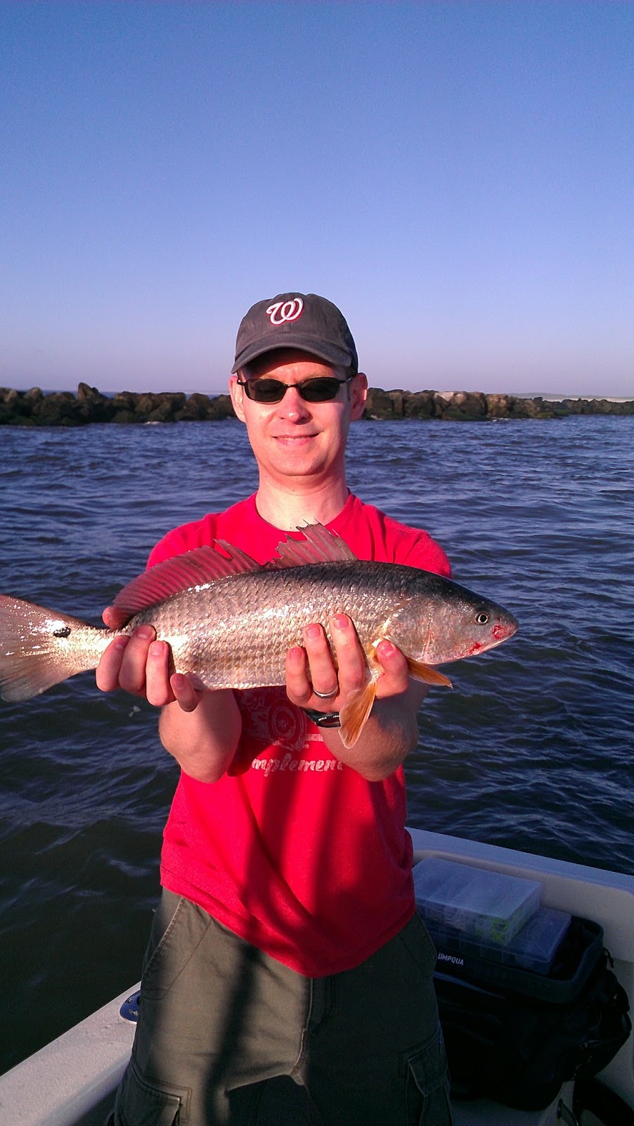 Lew's Fly Angler Chesapeake Bay and Gunpowder River Maryland Fly