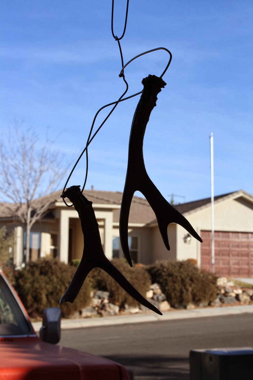 Tada's Kooky Kitchen Girly Antler Curtain tie backs