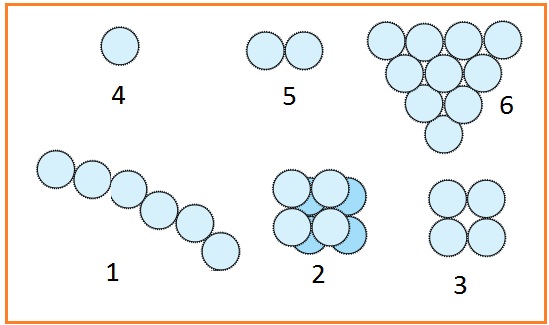 BIOLOGI GONZAGA BUKU SAKTI BIOLOGI