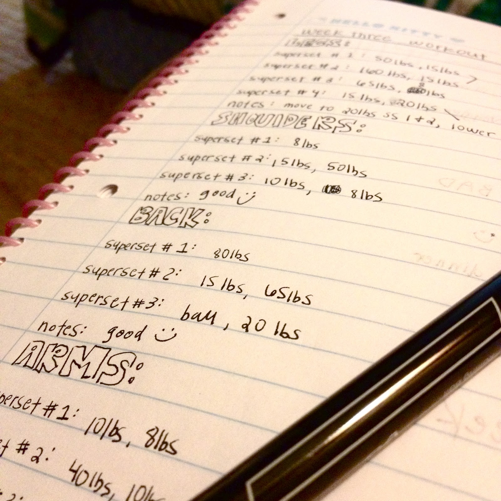 Fitness journal essay image