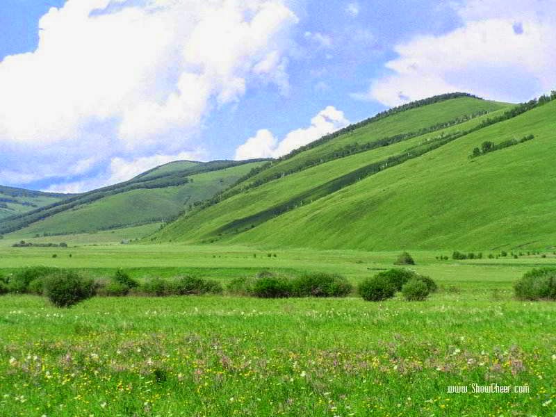 temperate grassland Interesting grassland facts for kids and adults we showcase the definition, as well as the plants, animals, and climate facts about grasslands biome. temperate grassland Interesting grassland facts for kids and adults we showcase the definition, as well as the plants, animals, and climate facts about grasslands biome.