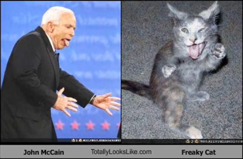 Funny look alikes face pictures | Funny Images and videos of the day Funny look alikes face pictures | Funny Images and videos of the day