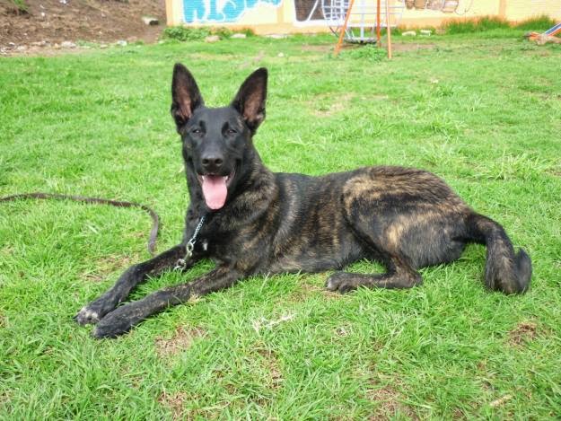 I love chuchis: mayo 2014