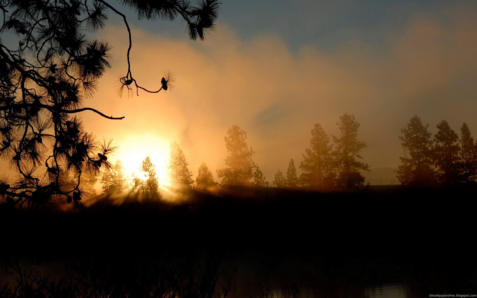 http://4.bp.blogspot.com/-p3ZN9TUgaKo/T8pItKaa8_I/AAAAAAAAA5Q/0D_l9RnrbLE/s1600/love+wallpapers+(8).jpg