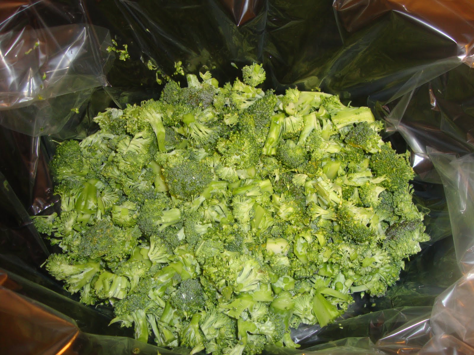 A Busy Mom's Slow Cooker Adventures Chicken Divan