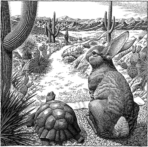 13-Tortoise-&-Hare-Michael-Halbert-Scratchboard-Images-of-Animals-and-Architecture-www-designstack-co