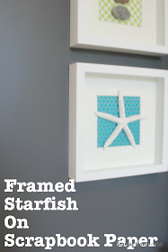 starfish in frames