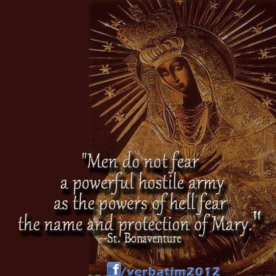 Little Plant of St. Francis St. Bonaventure Quote on Our Lady
