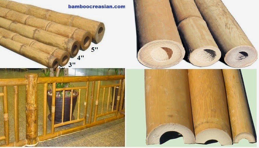 Best Bamboo Cane Pole Stake All Decor Ideas For Fences Custom