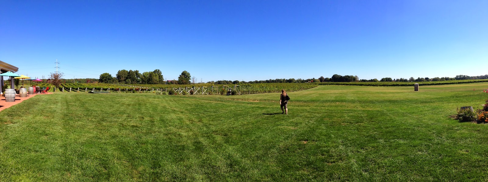 New Jersey Wine Trail - working dog winery New Jersey Wine Trail - working dog winery