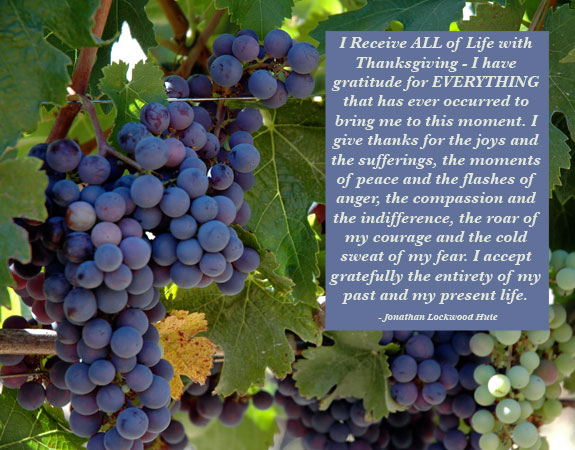 Thanksgiving Quotes Pictures | Wallpapers Pictures Lovers