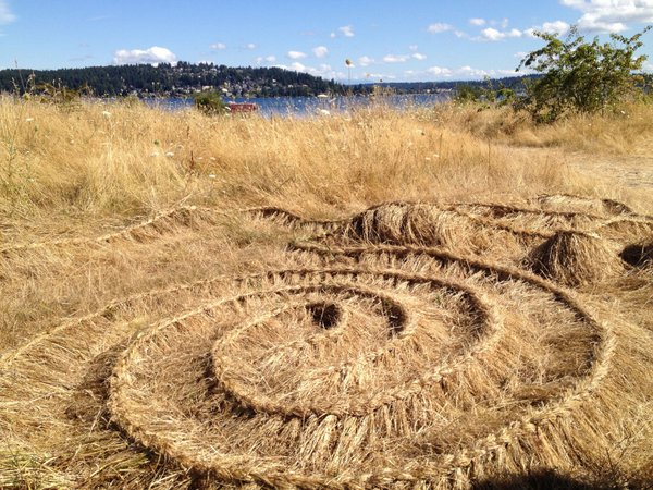 the grackle woven grass
