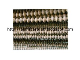 http://alambertuah.blogspot.com
