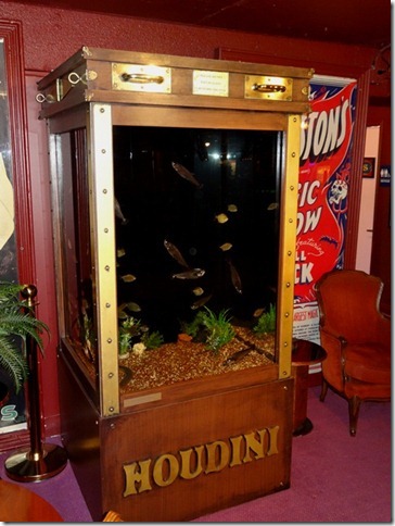 harry houdini water tank harry houdini water tank