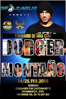 Seminario Mma Dodger Montaño Mexico,Fighter UFC