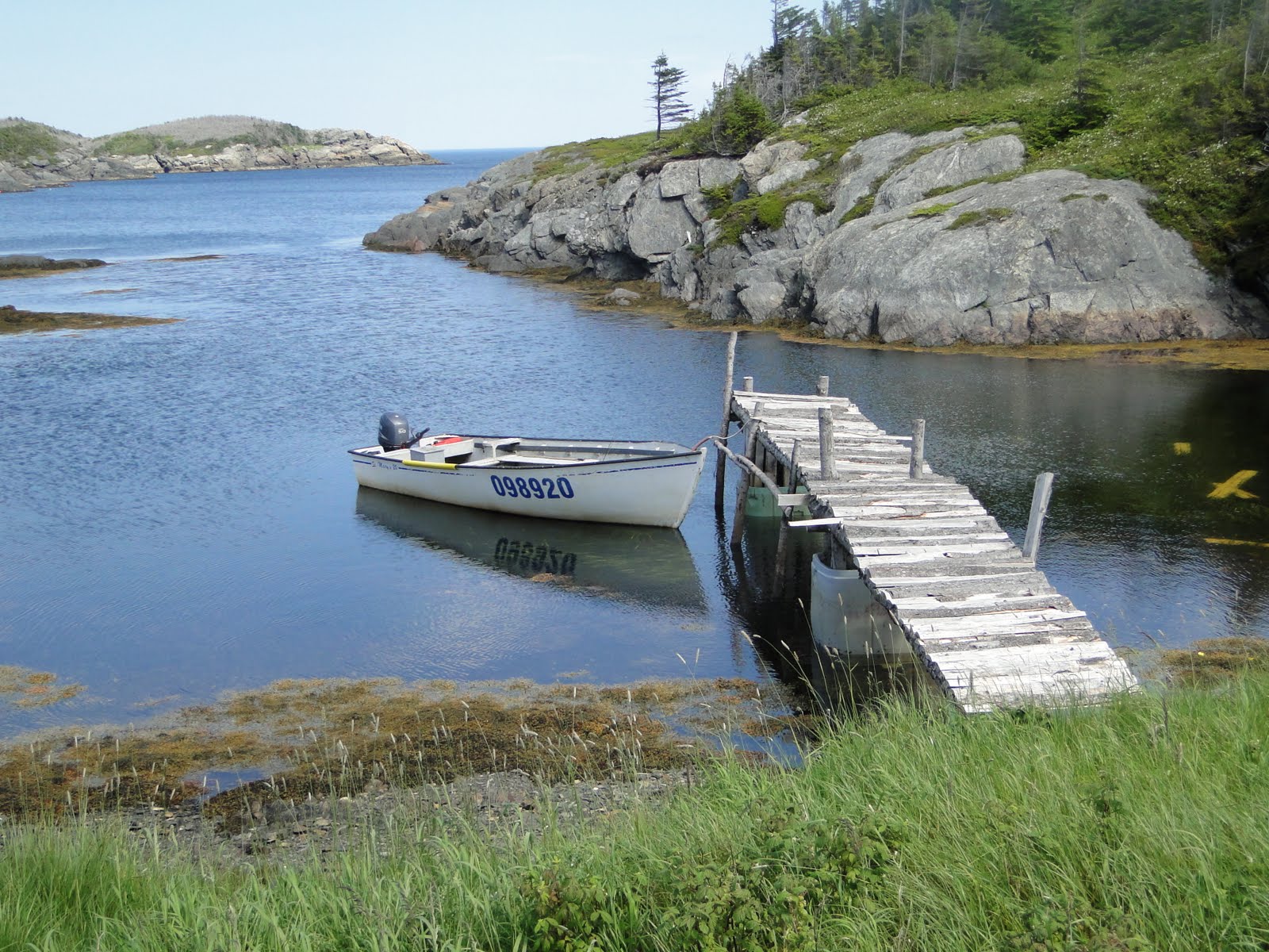 A Fresh Take On Birding St. Brendans