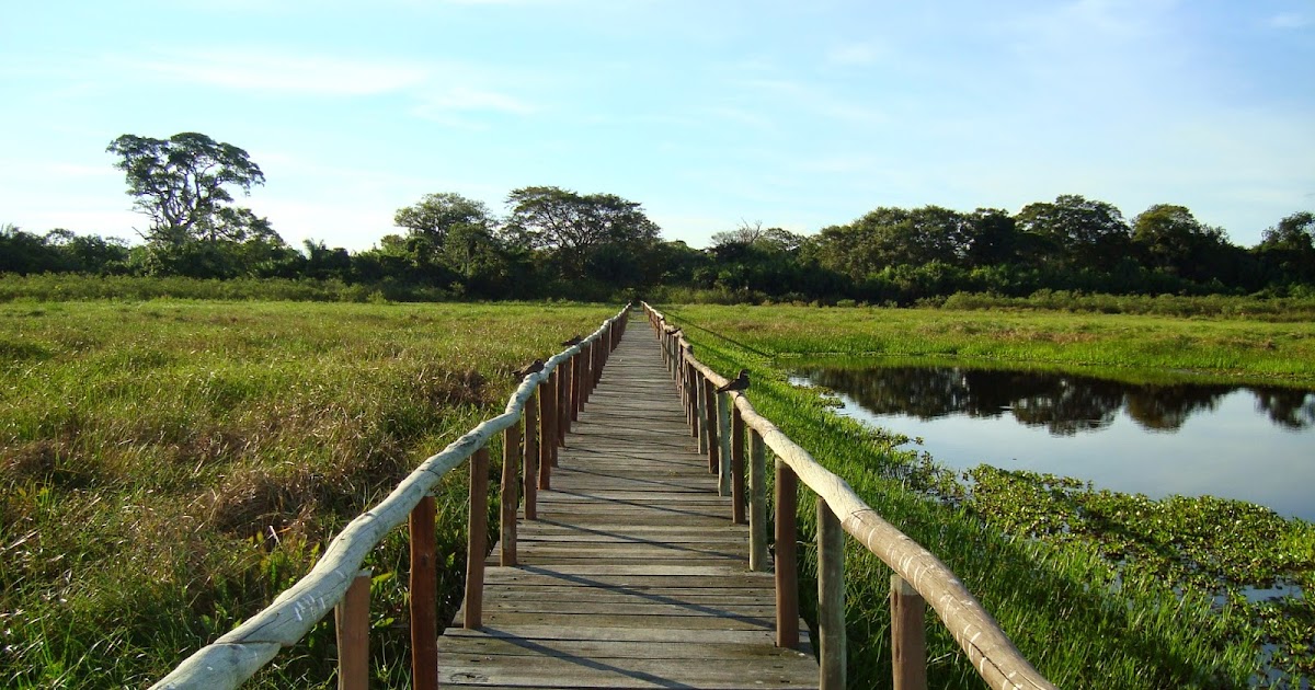 Quais são os desvios da primeira competência?