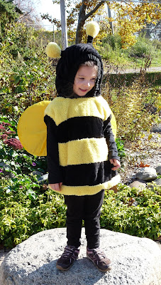 Zoe's Lunchbox bee costume